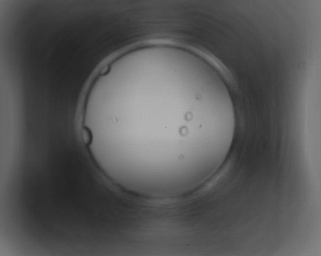 X0000101441240200807071020