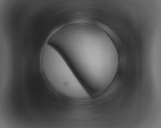 X0000101441242200807071020