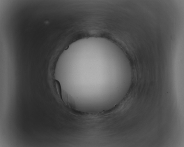 X0000101441249200807071019