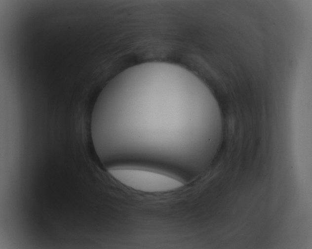 X0000101441250200807071019