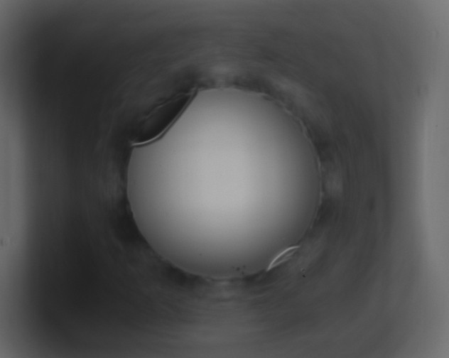 X0000101441253200807071019
