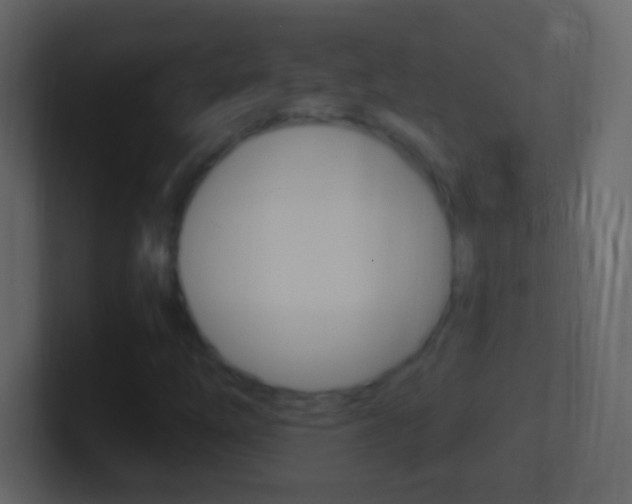 X0000101441254200807071019