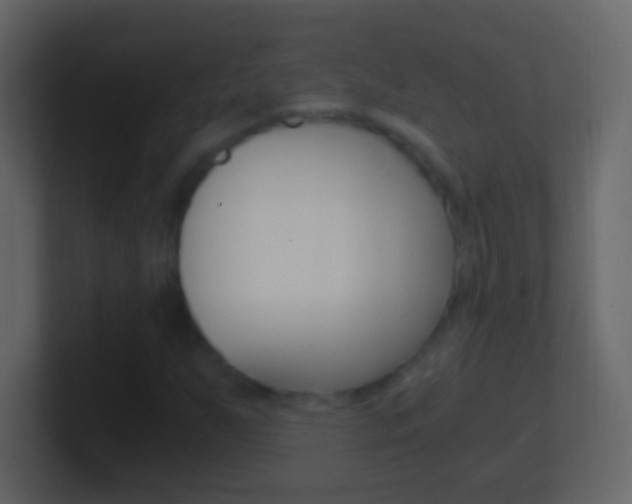 X0000101441255200807071019