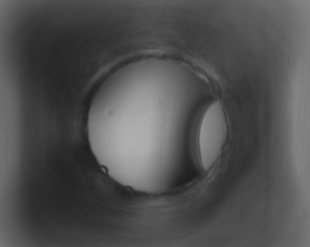 X0000101441256200807071019