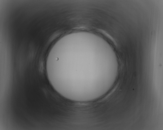 X0000101441258200807071019