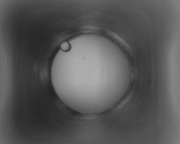 X0000101441259200807071019
