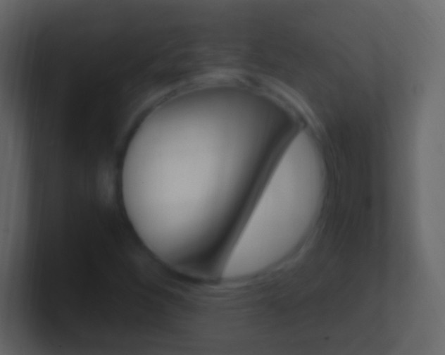 X0000101441260200807071019
