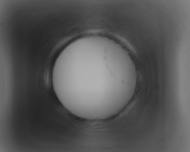 X0000101441262200807071019