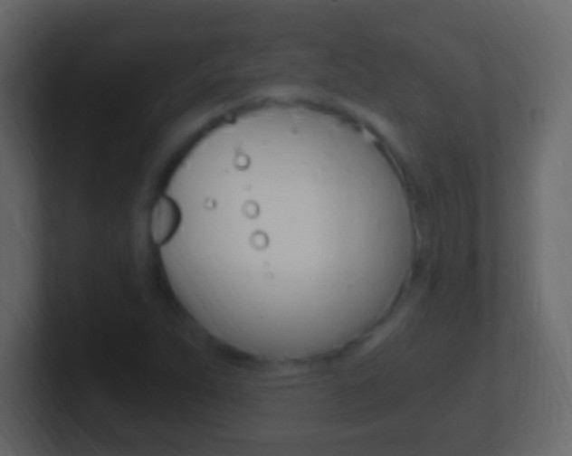 X0000101441263200807071019