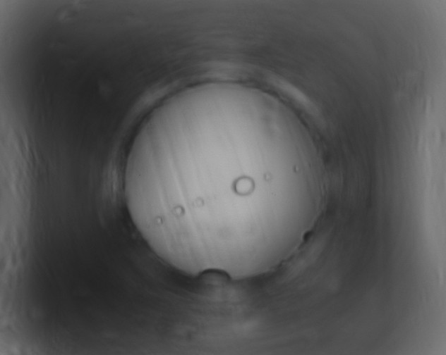 X0000101441267200807071019