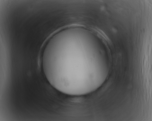 X0000101441268200807071019