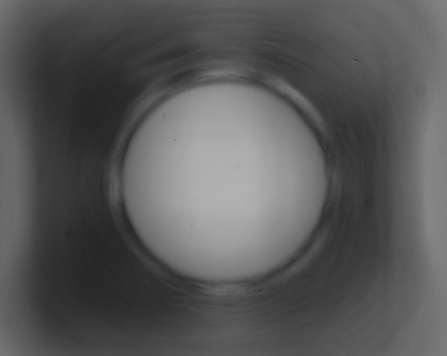 X0000101441274200807071019