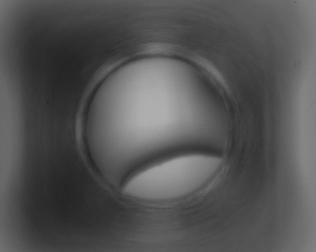 X0000101441277200807071019