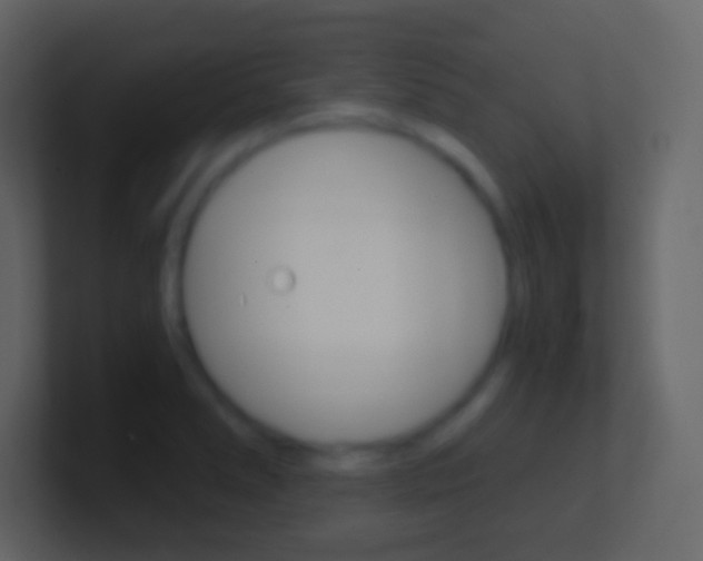 X0000101441278200807071019