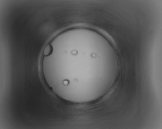X0000101441279200807071019