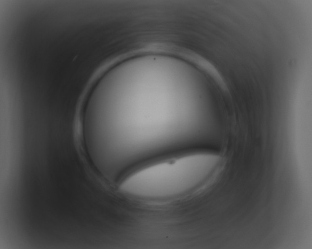X0000101441280200807071019