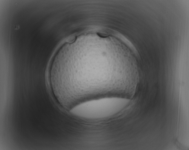 X0000101441283200807071019