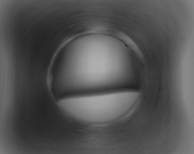 X0000101441284200807071019