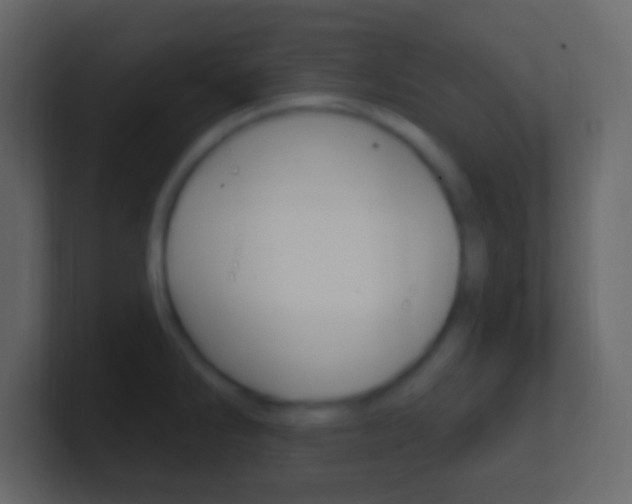 X0000101441286200807071019
