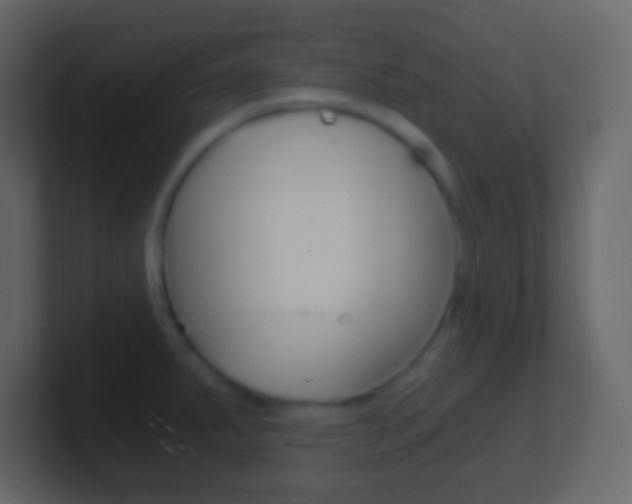 X0000101441287200807071019
