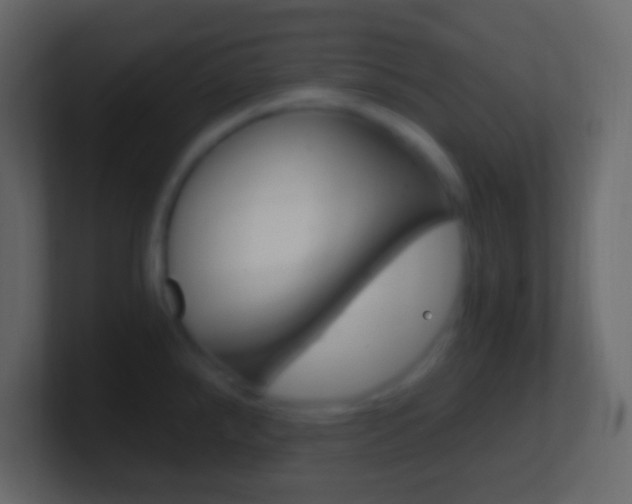 X0000101441288200807071019
