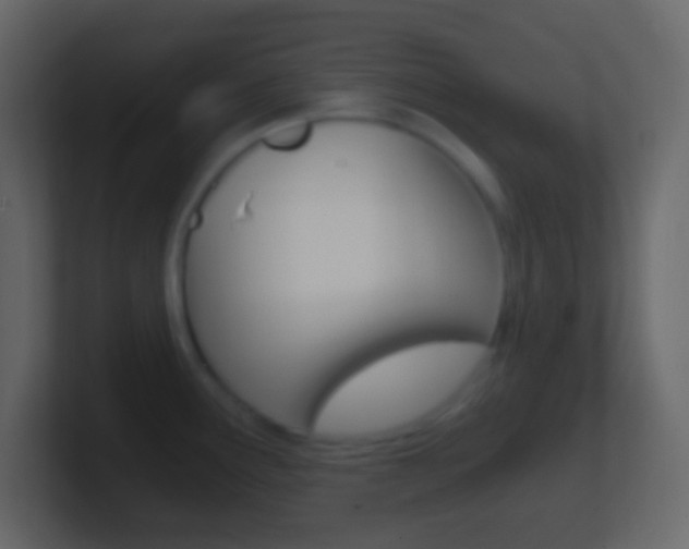 X0000101441291200807071019