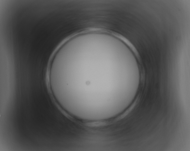 X0000101441294200807071019