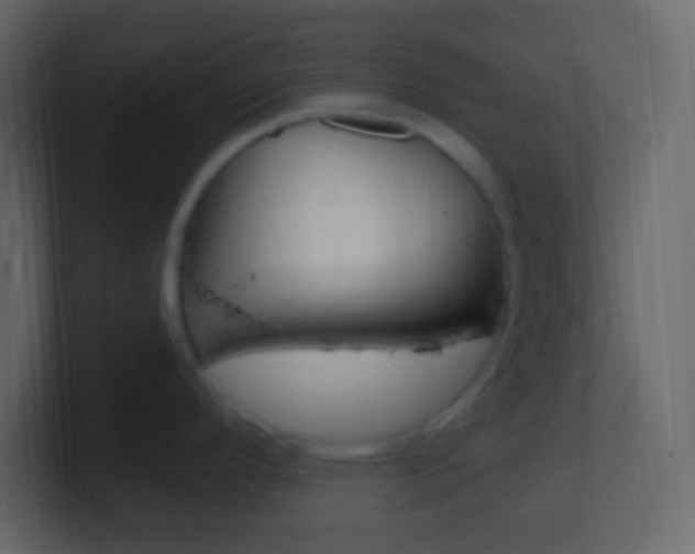 X0000101441296200807071019