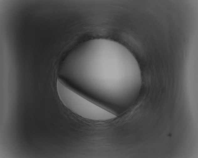 X0000101441297200807071018