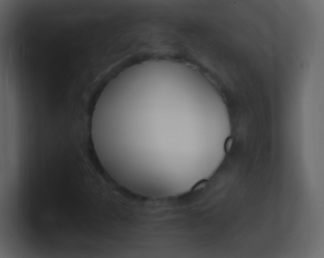 X0000101441301200807071018
