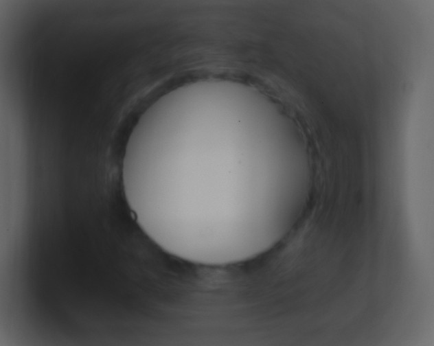 X0000101441302200807071018