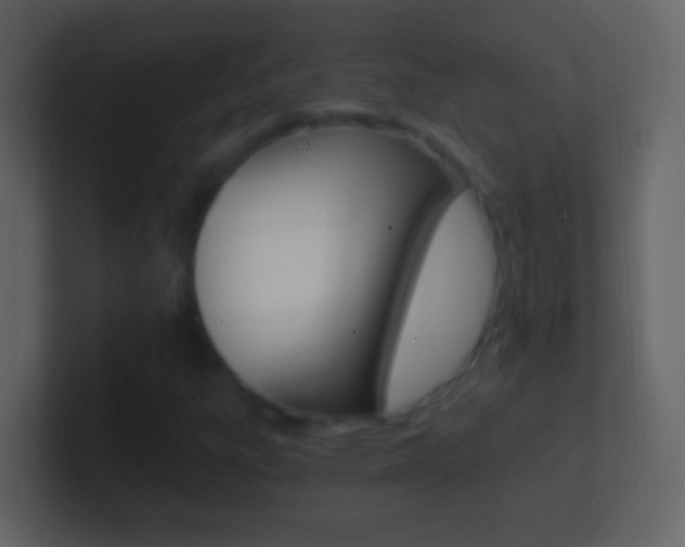 X0000101441303200807071018