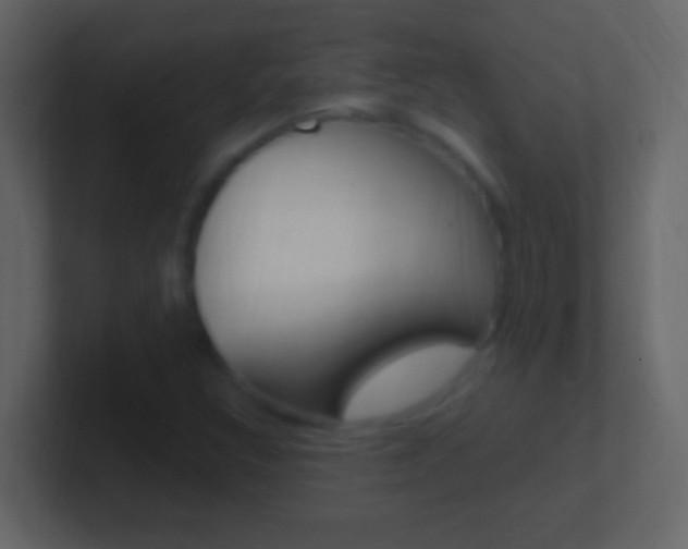 X0000101441308200807071018