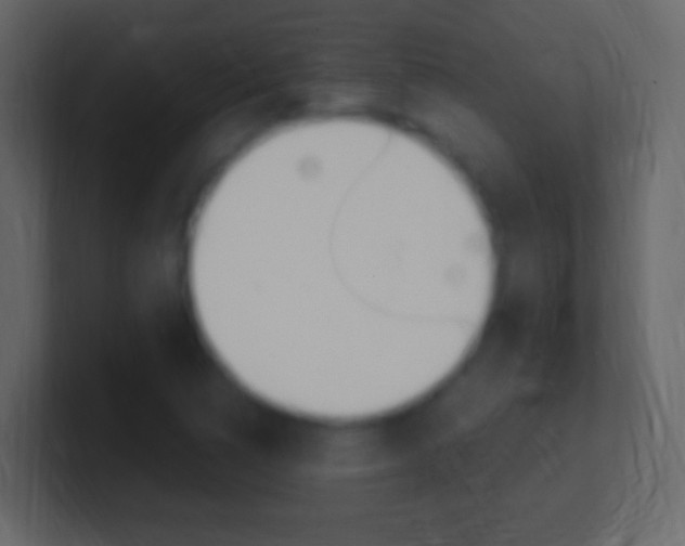 X0000101441314200807071018