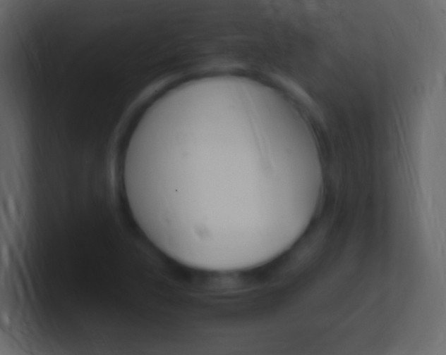 X0000101441315200807071018