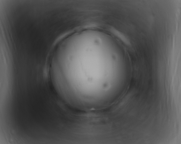 X0000101441316200807071018