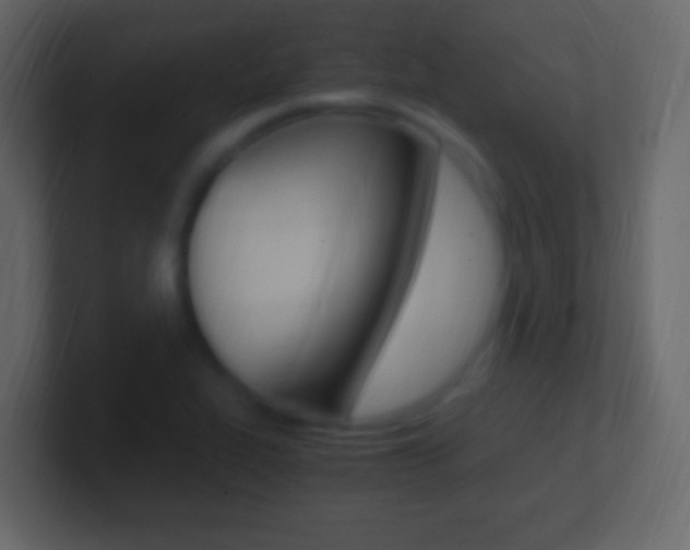 X0000101441319200807071018