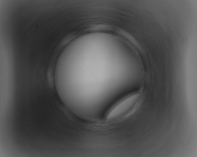 X0000101441321200807071018