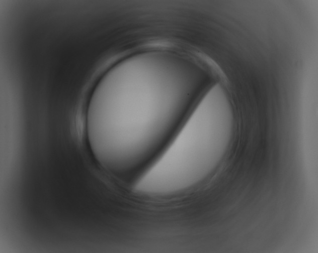 X0000101441323200807071018