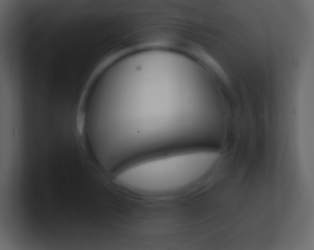 X0000101441324200807071018