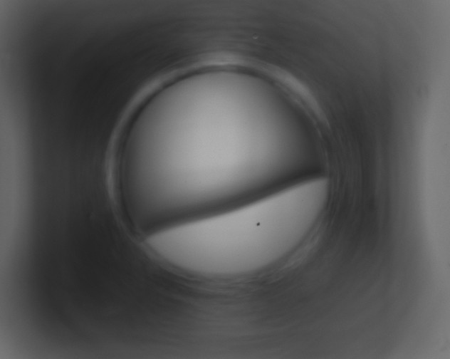 X0000101441326200807071018