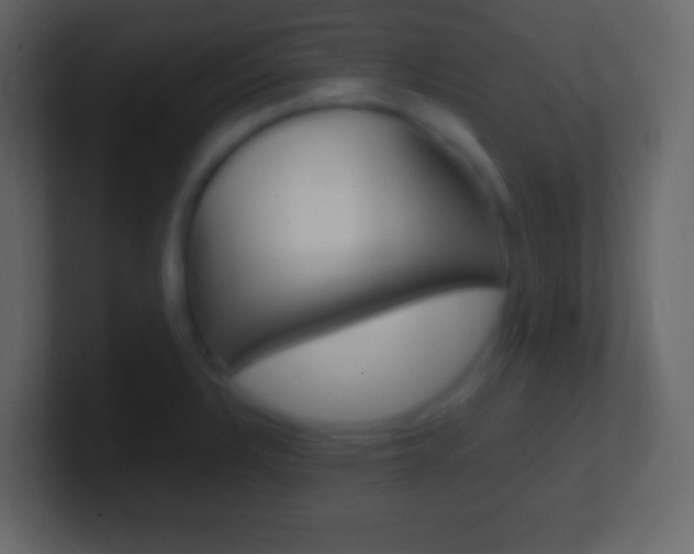 X0000101441328200807071018