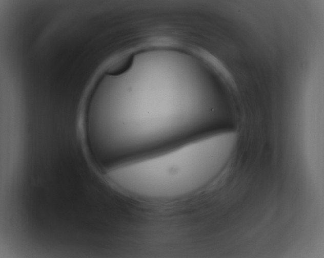 X0000101441334200807071019