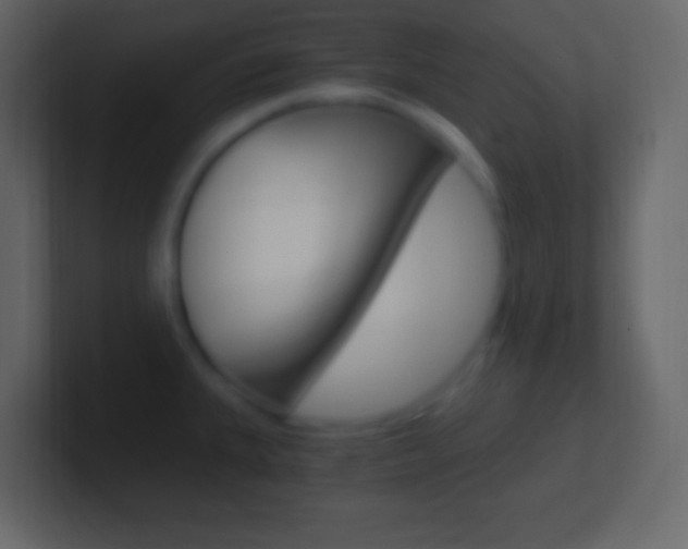 X0000101441335200807071019