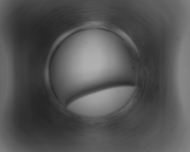 X0000101441336200807071019