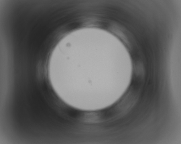 X0000101441338200807071019