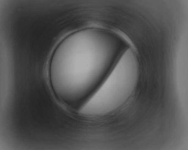 X0000101441339200807071019