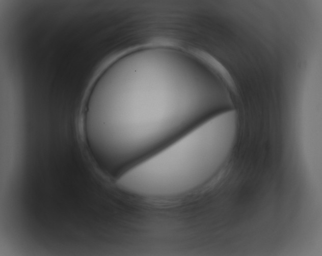 X0000101441340200807071019