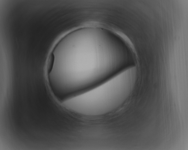 X0000101441344200807071019
