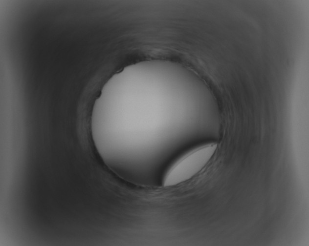 X0000101441345200807071018